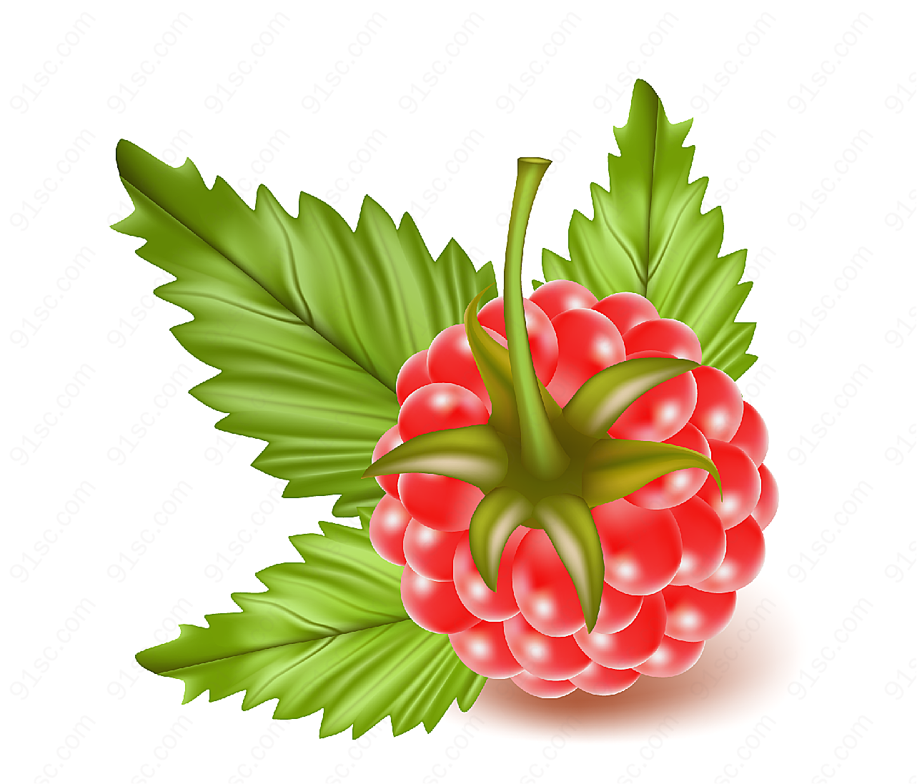 红莓矢量矢量水果