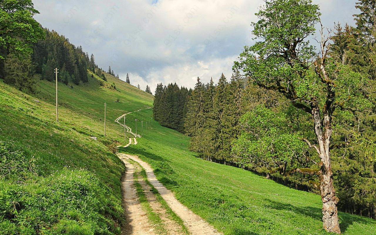 草地图片高清风景