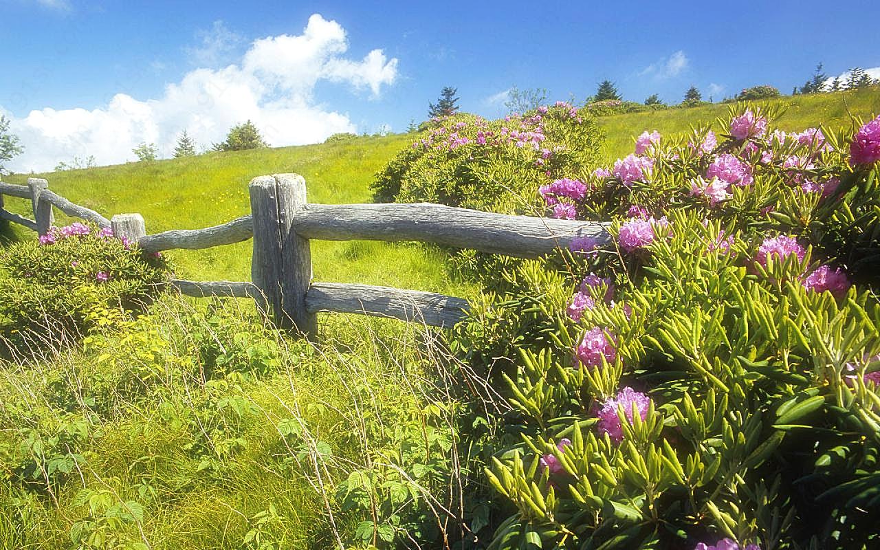 野外风景素材图片下载自然风景