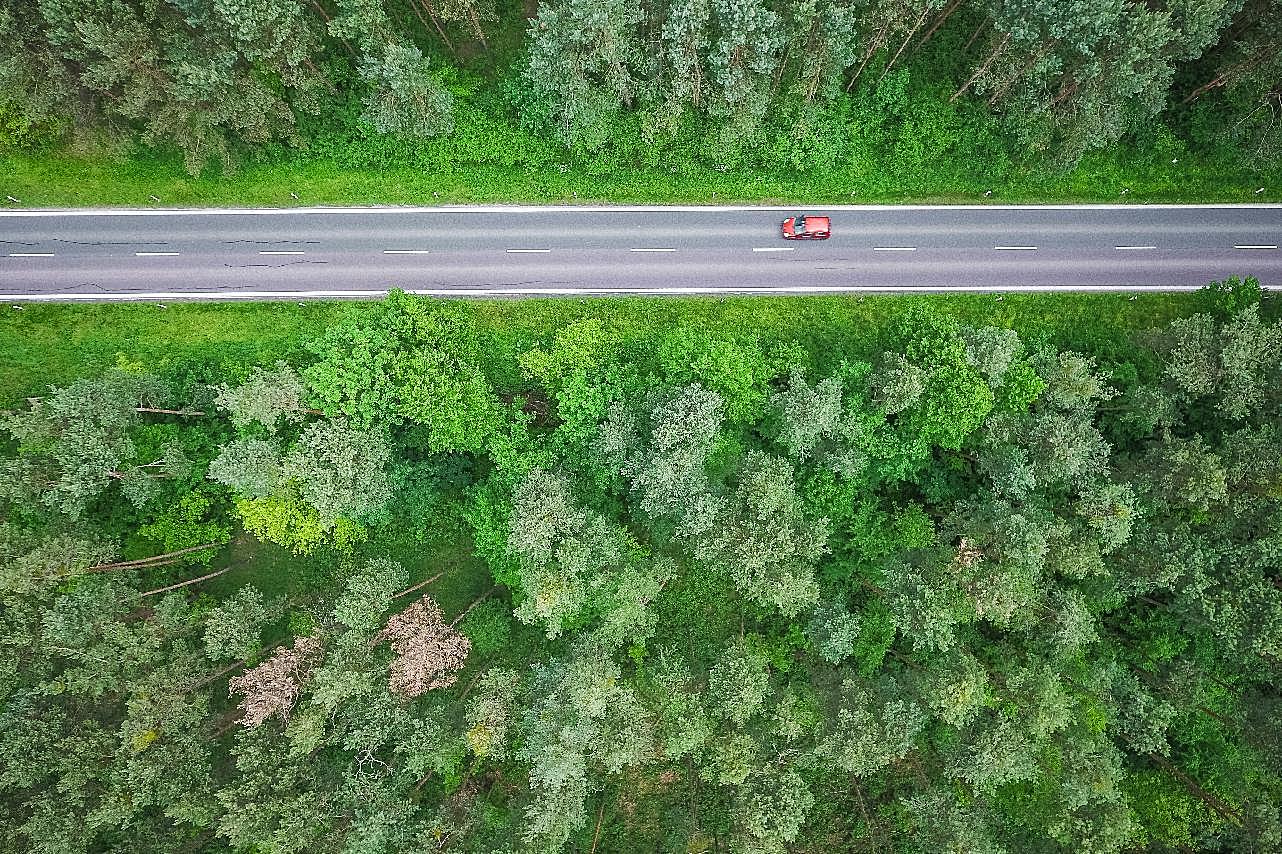 森林鸟瞰图公路