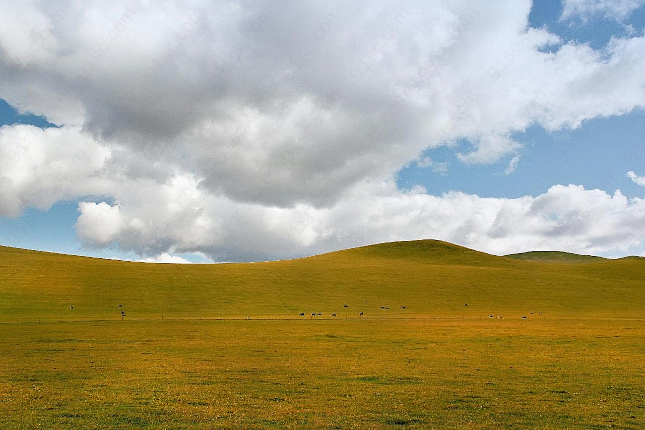 内蒙古呼伦贝尔大图片草原