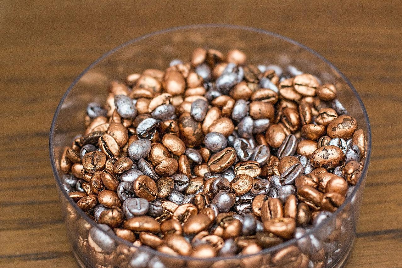 草本咖啡豆的图片摄影美食