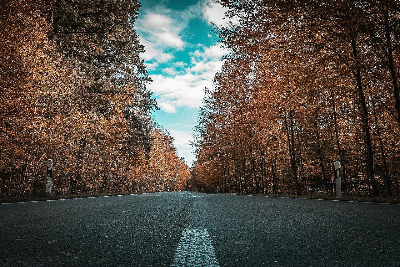 唯美秋天道路景色图片摄影高清