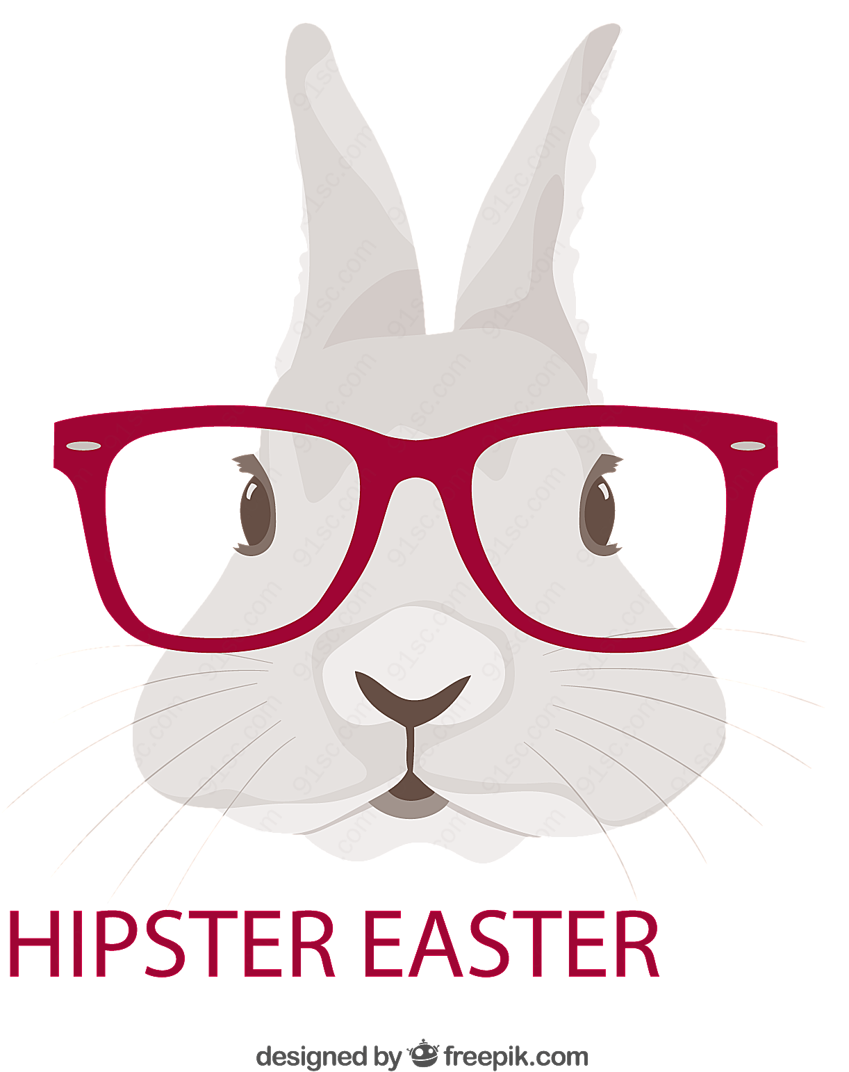 戴眼镜框的兔子矢量卡通动物