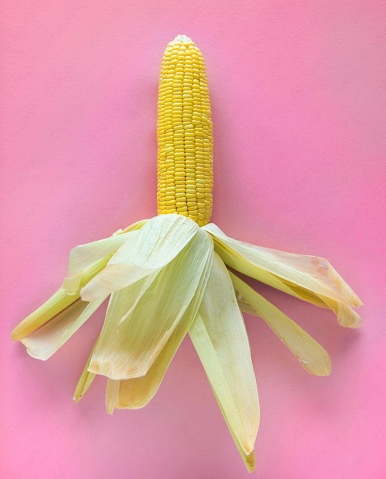 玉米棒单个图片高清摄影