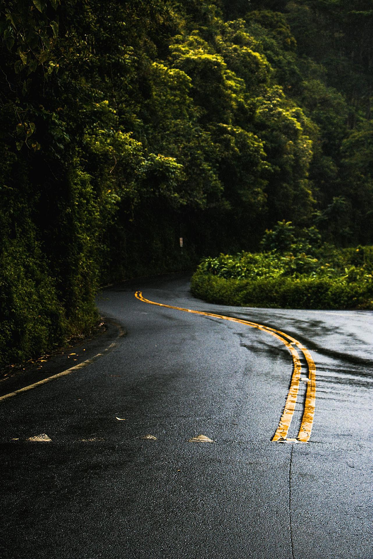 雨后柏油马路图片高清运输