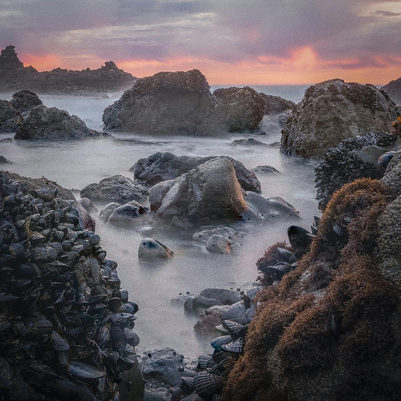 黄昏海岸礁石风景图片自然风景