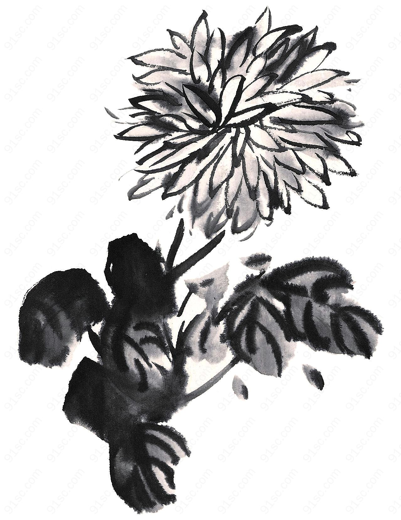国画水墨花卉3文化