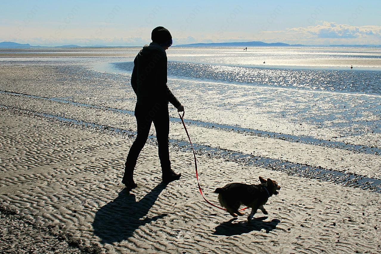 海边遛狗图片人物摄影