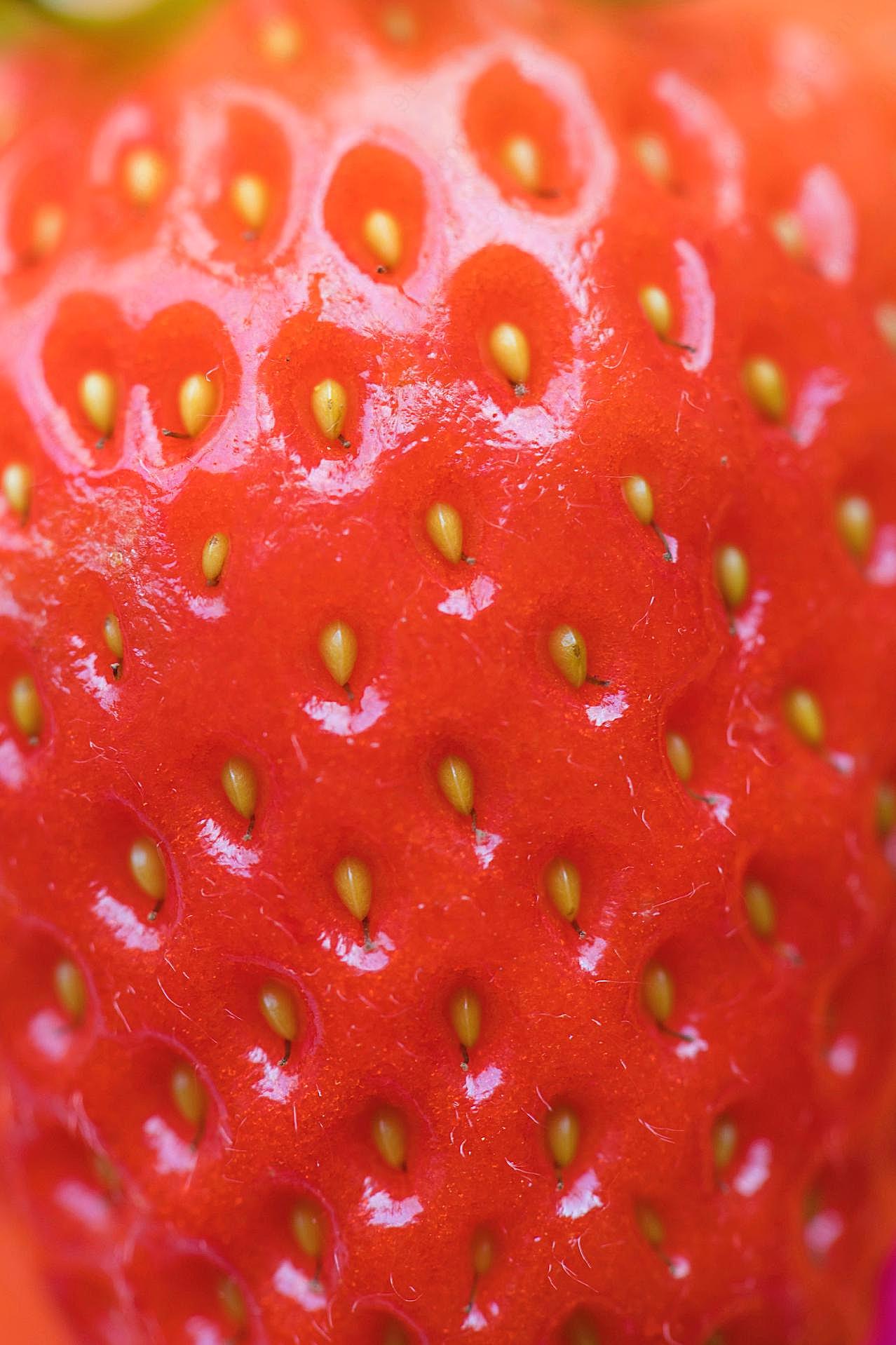红芭蕾草莓特写图片高清