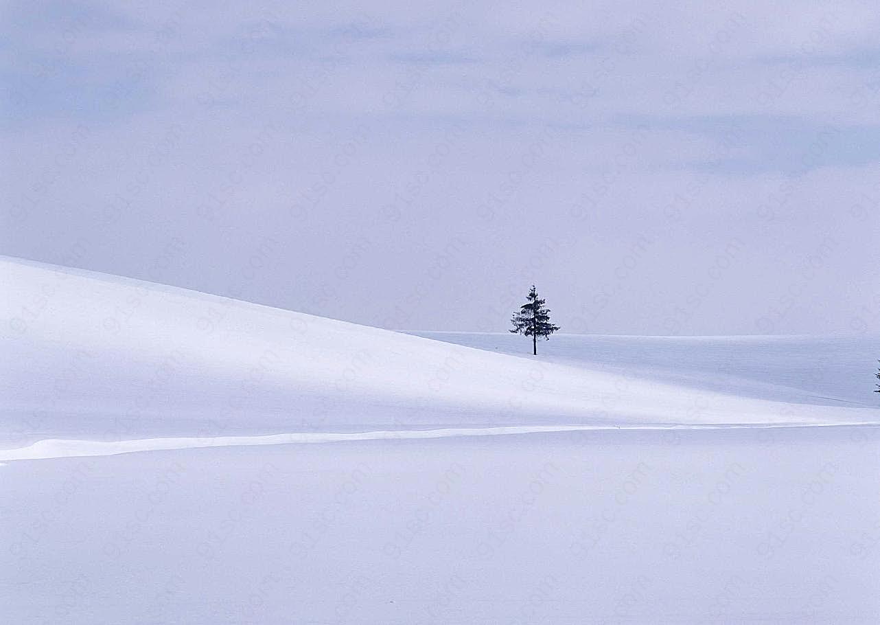 冰天雪地309雪景