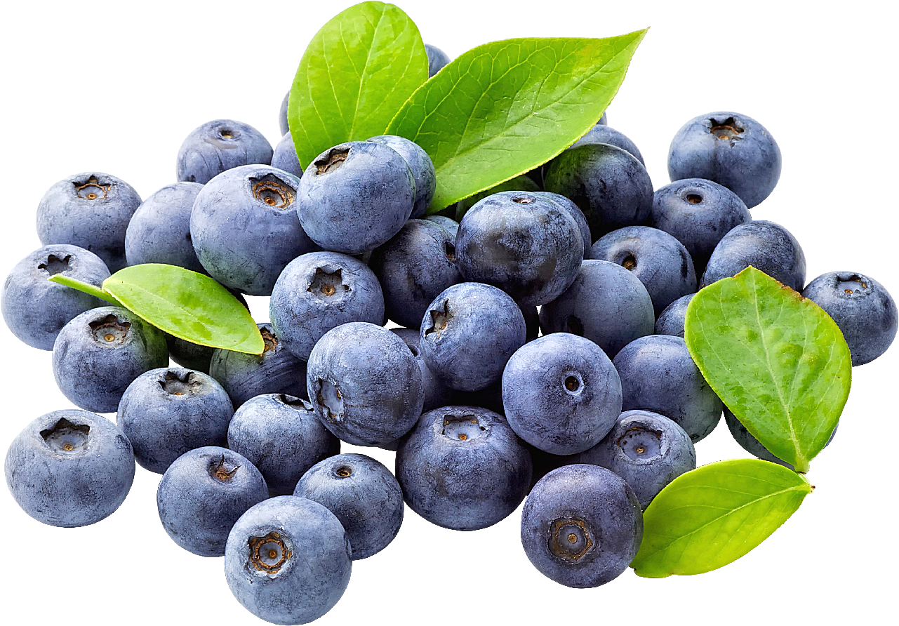 蓝莓免抠图摄影高清