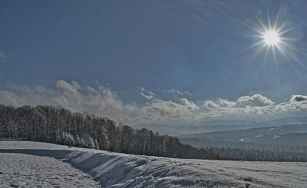 阳光下冬季图片景观