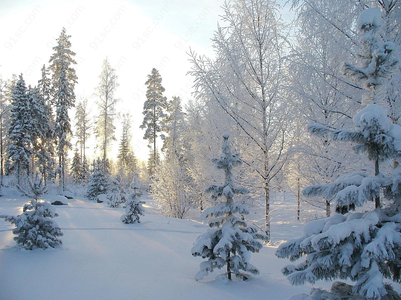 雪天高清图景观