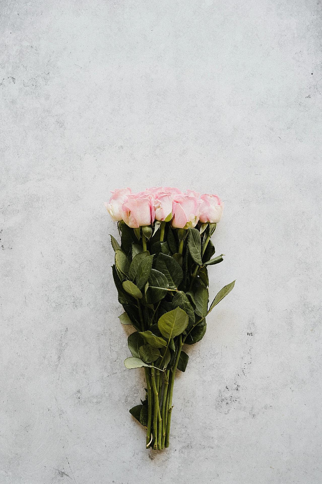 粉玫瑰鲜花花束图片摄影高清