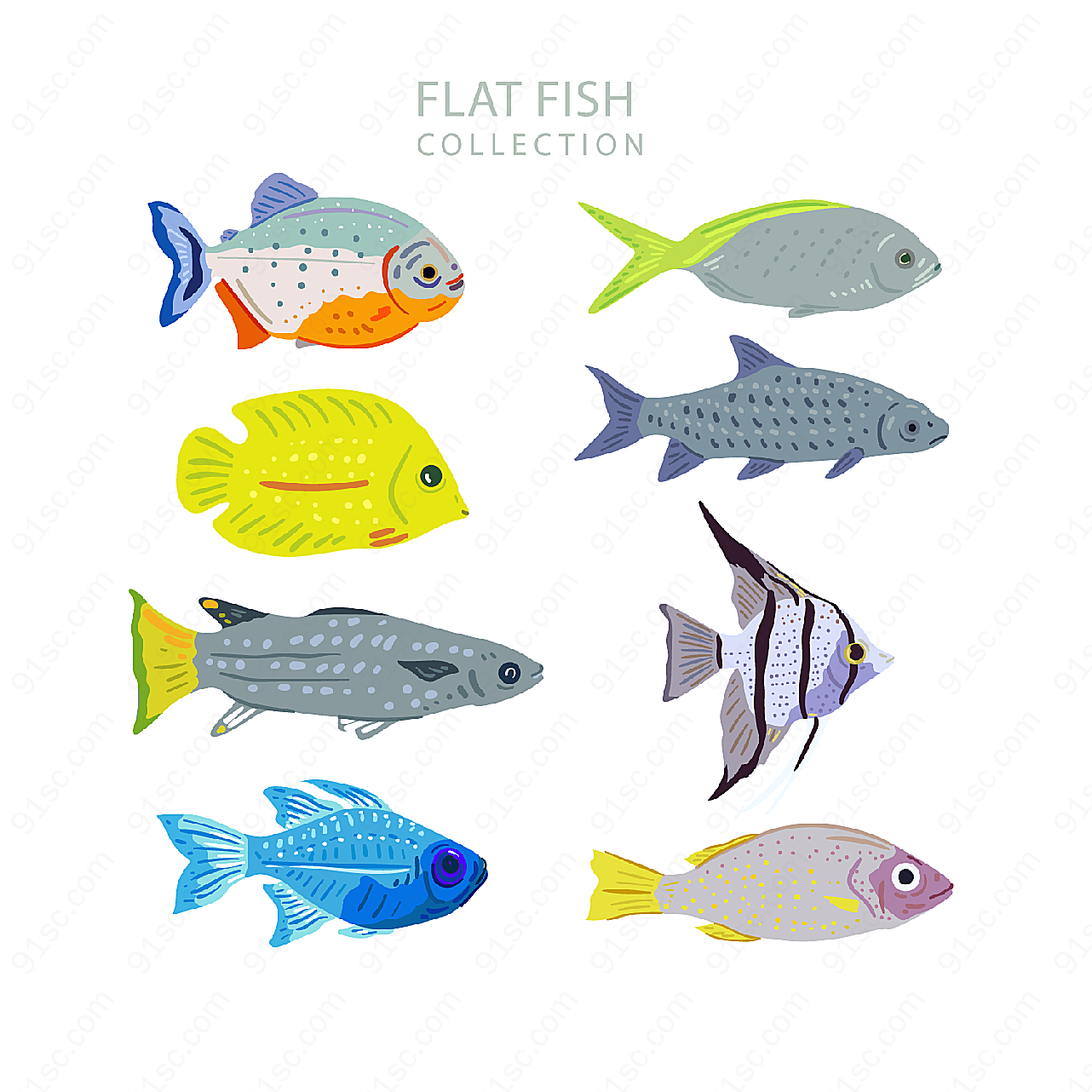 扁平化彩色鱼类水中生物