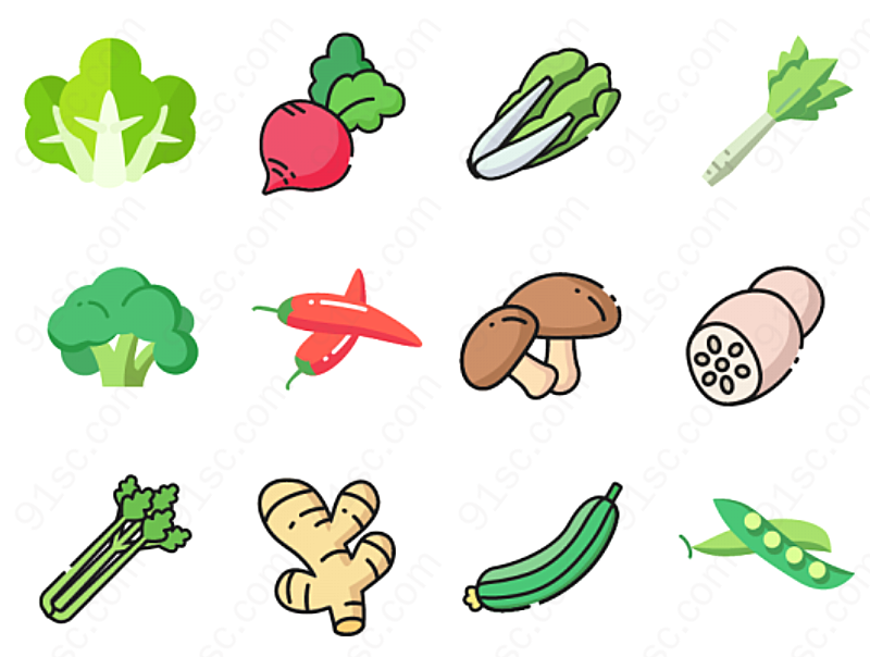 营养蔬菜系列美味食物
