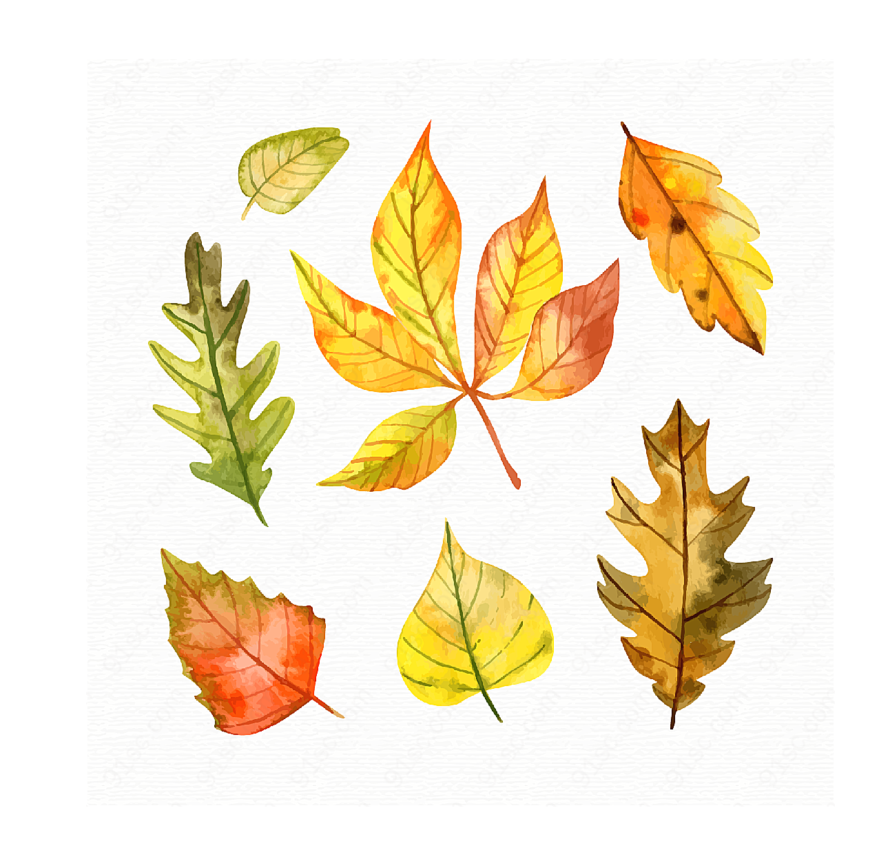 水彩绘秋季树叶矢量花草树木