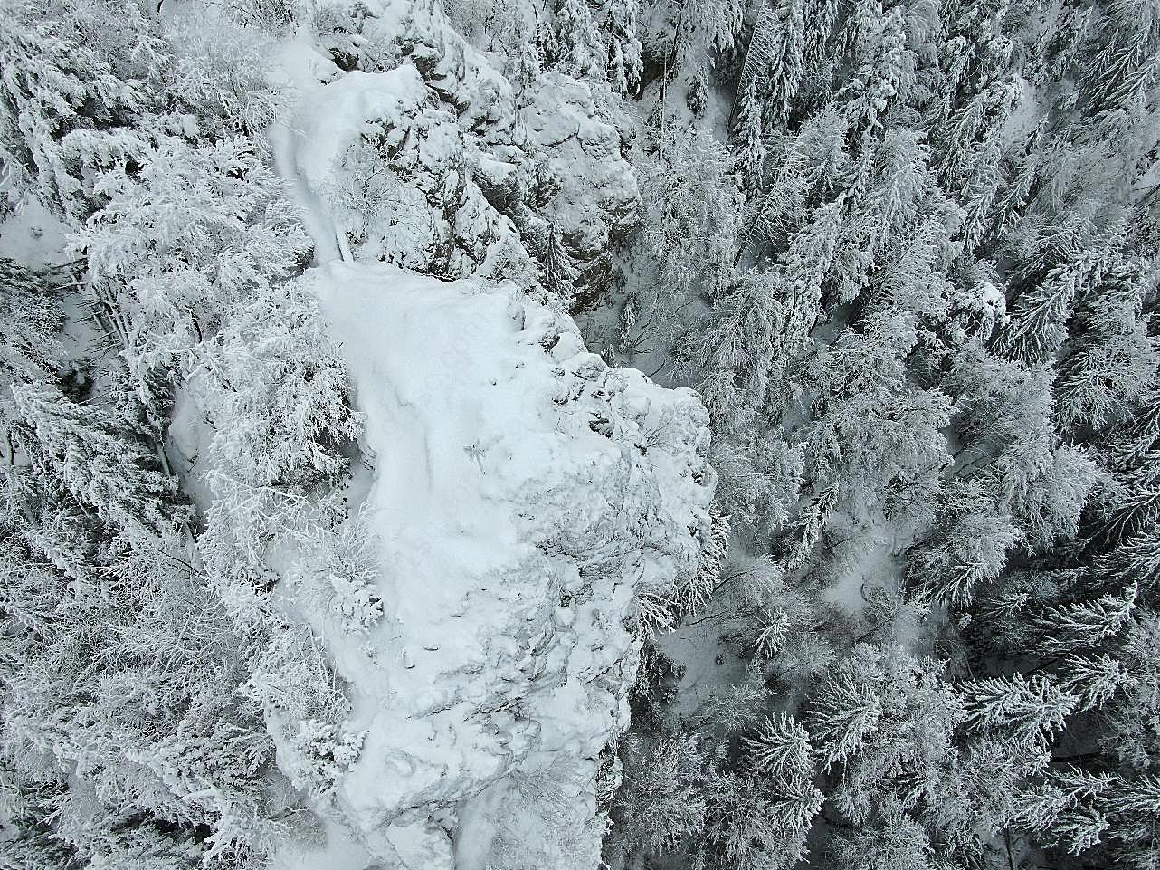 白雪森林冬季风景图片景观