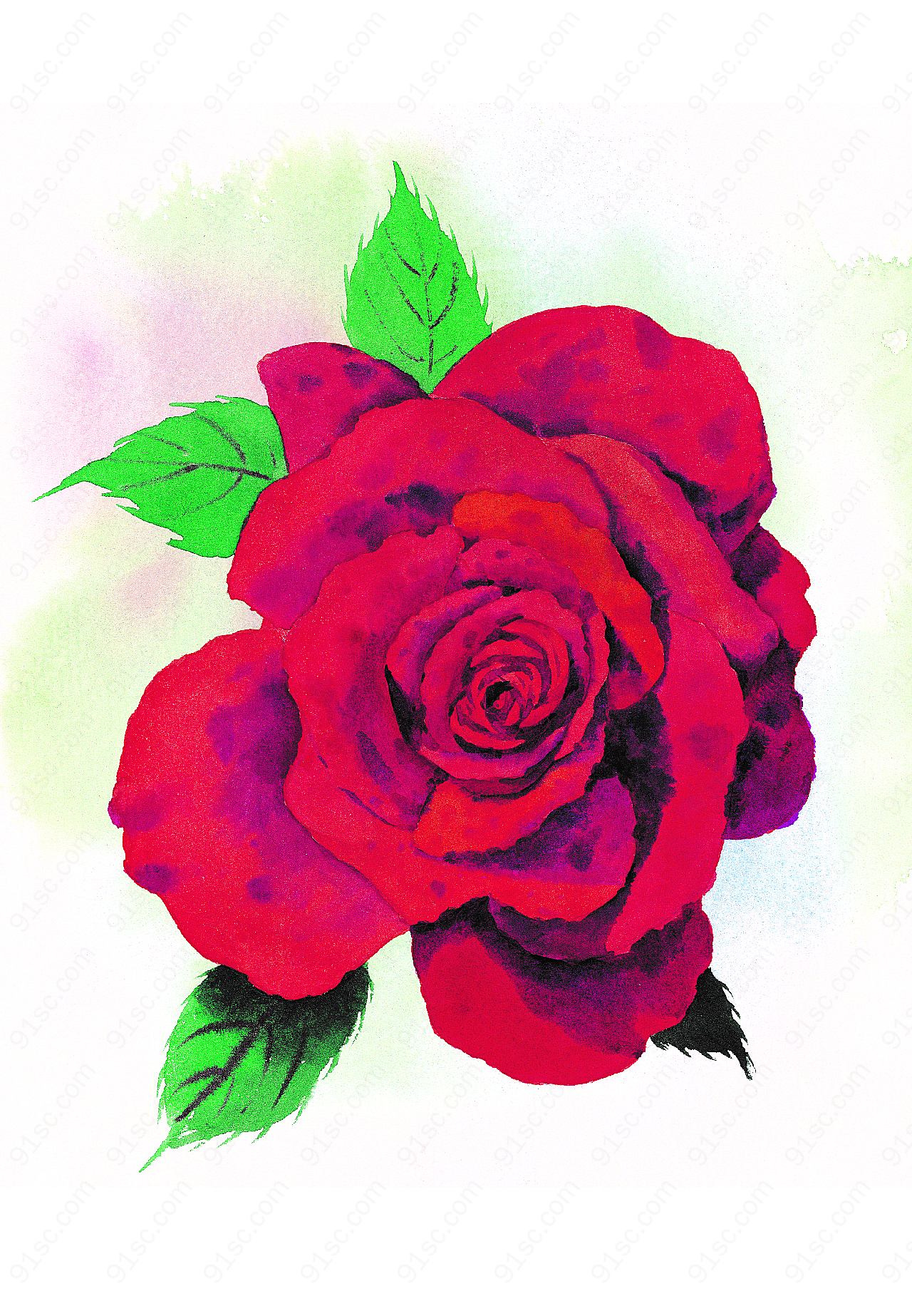彩绘图片玫瑰花