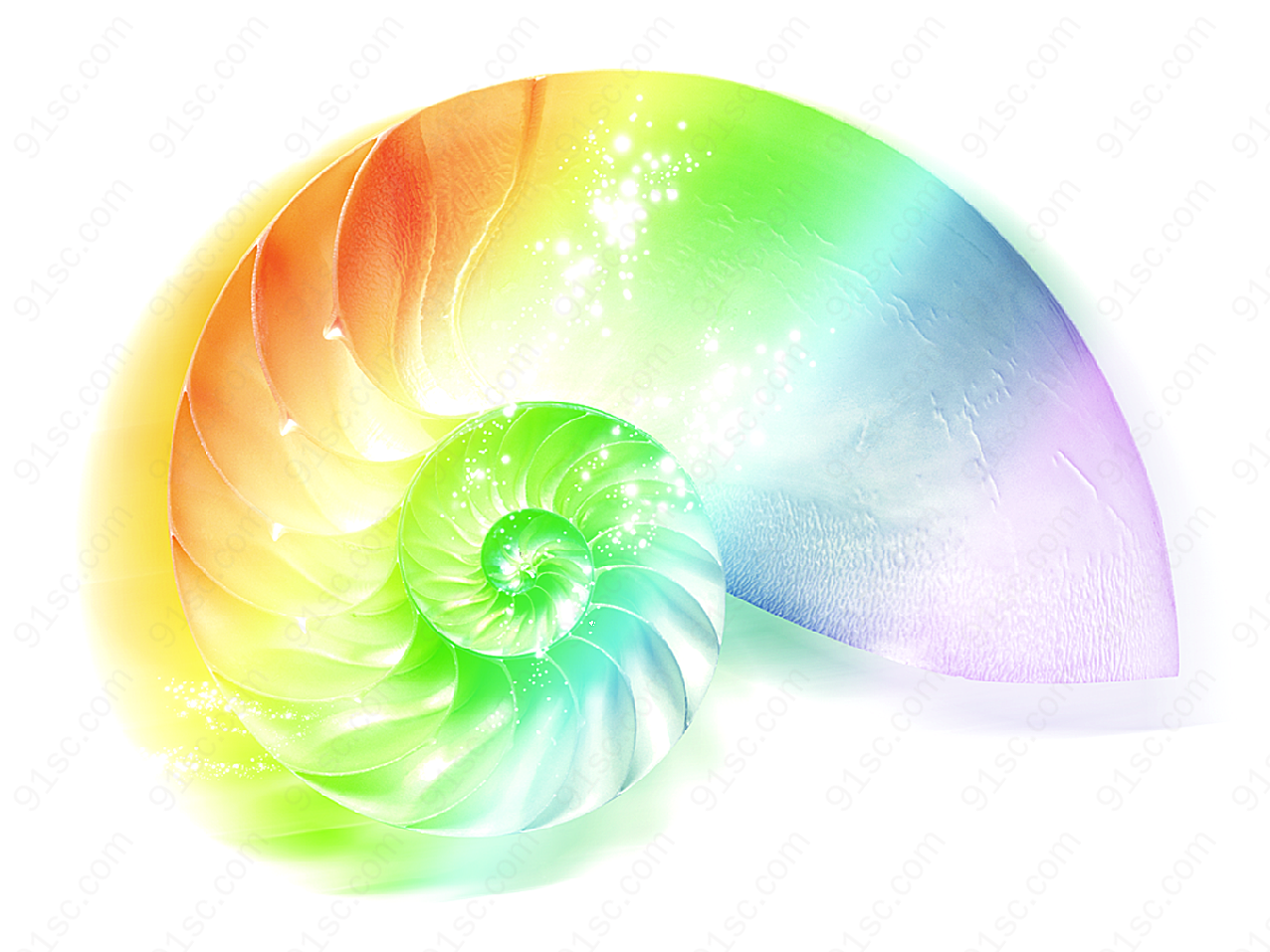 彩虹海螺水中生物