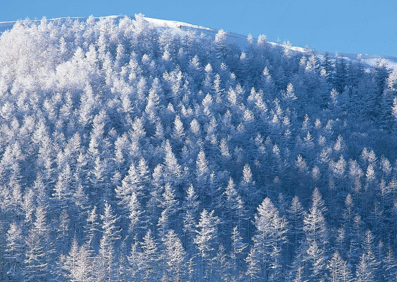 冰天雪地498风景