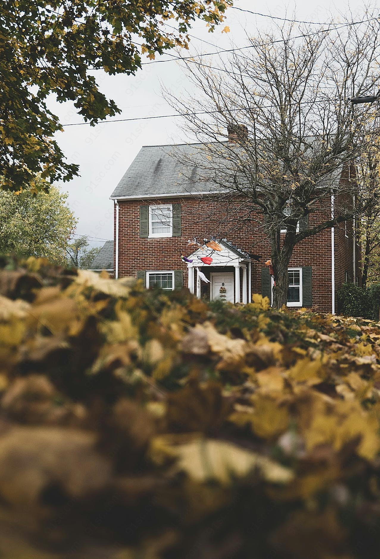 秋天景色房子风景图片