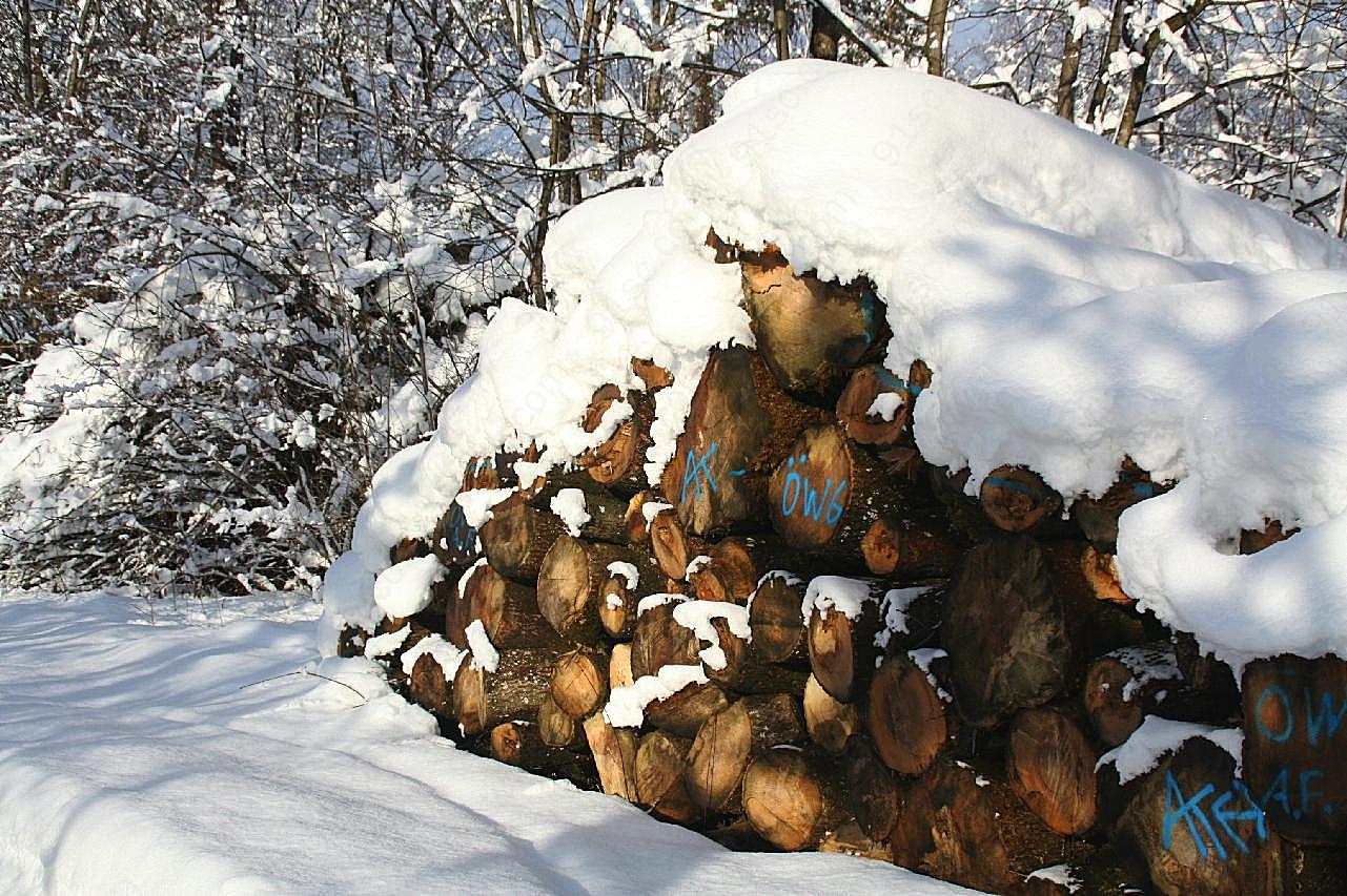 冬天雪地木柴堆图片风景自然