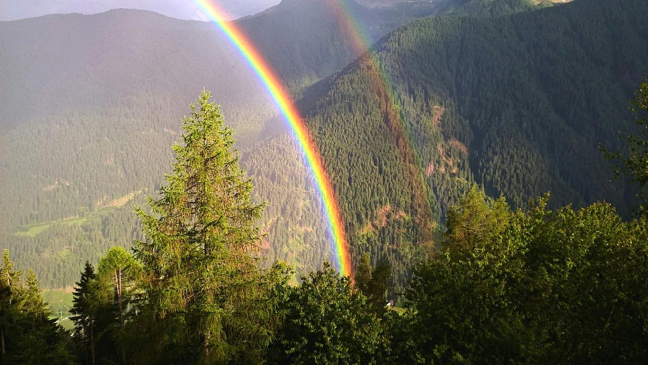 森林雨后彩虹图片摄影