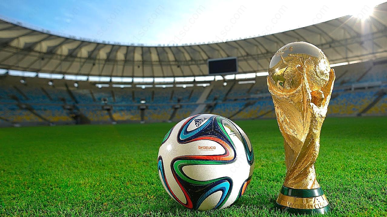 2014世界杯足球奖杯图片高清摄影