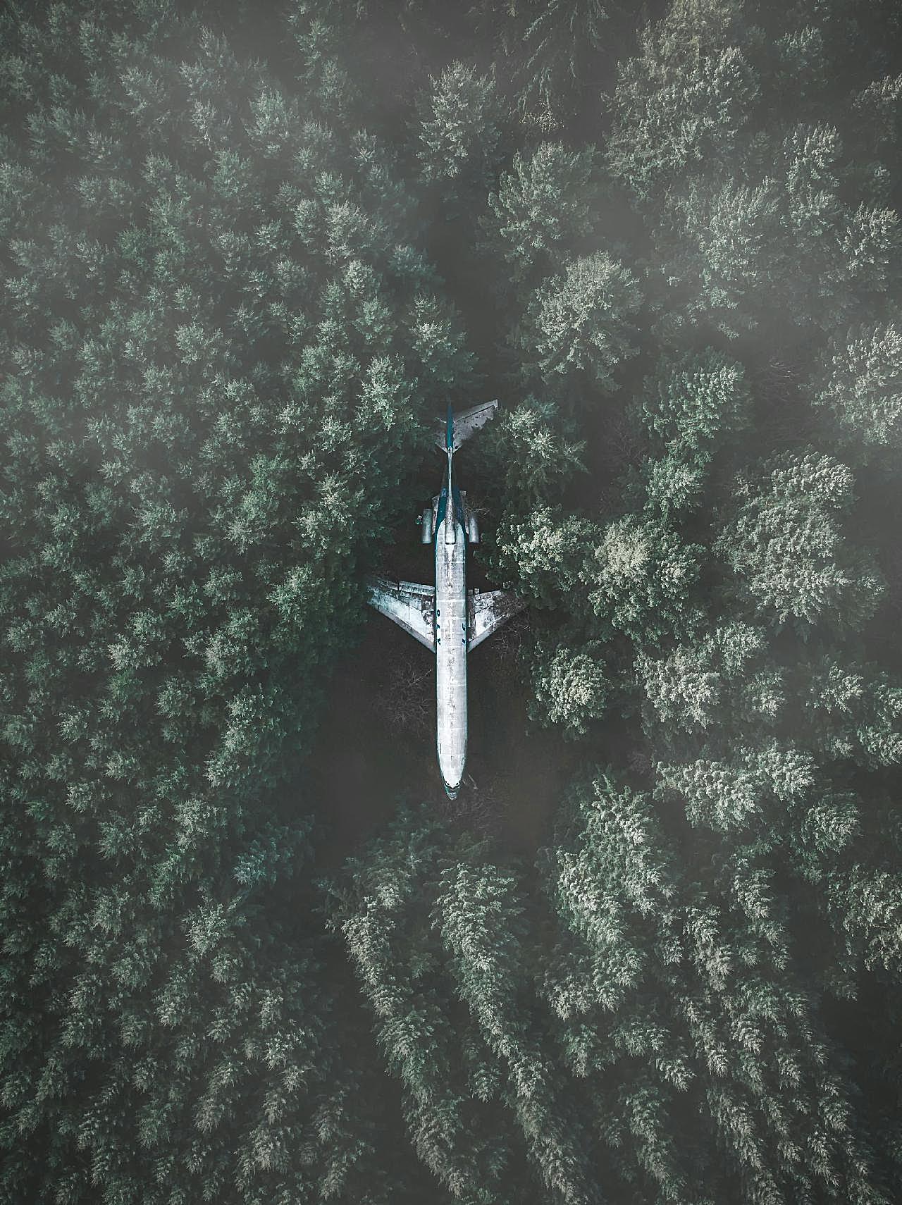 丛林中的飞机图片运输