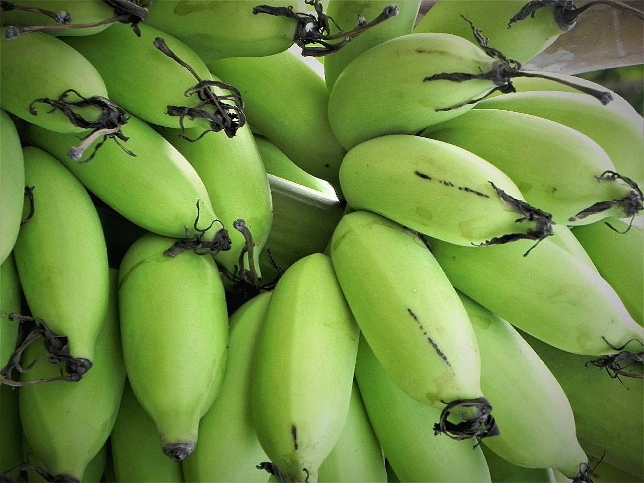 米蕉图片水果