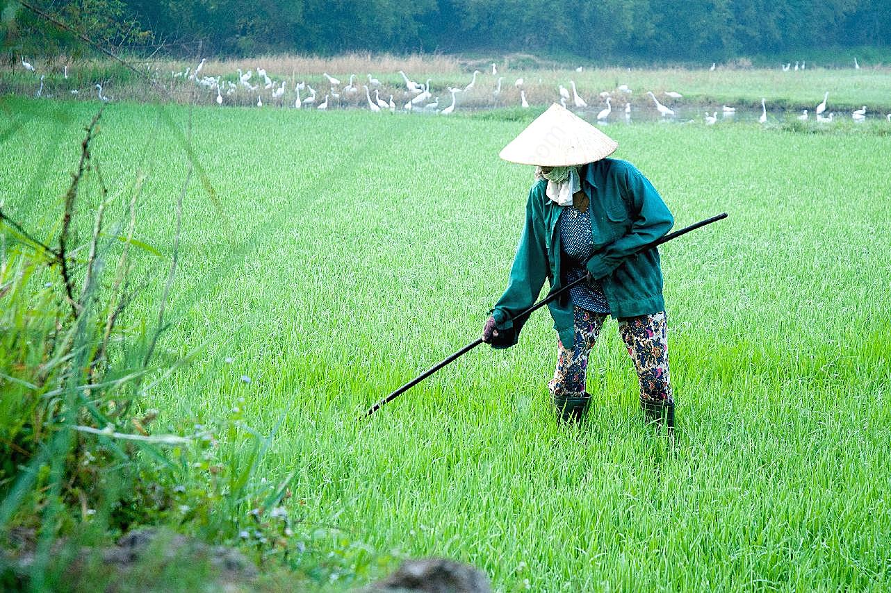 农民干农活图片高清摄影