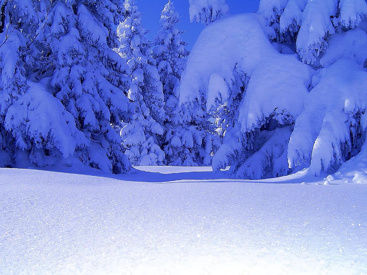 冬天雪景图片下载摄影自然