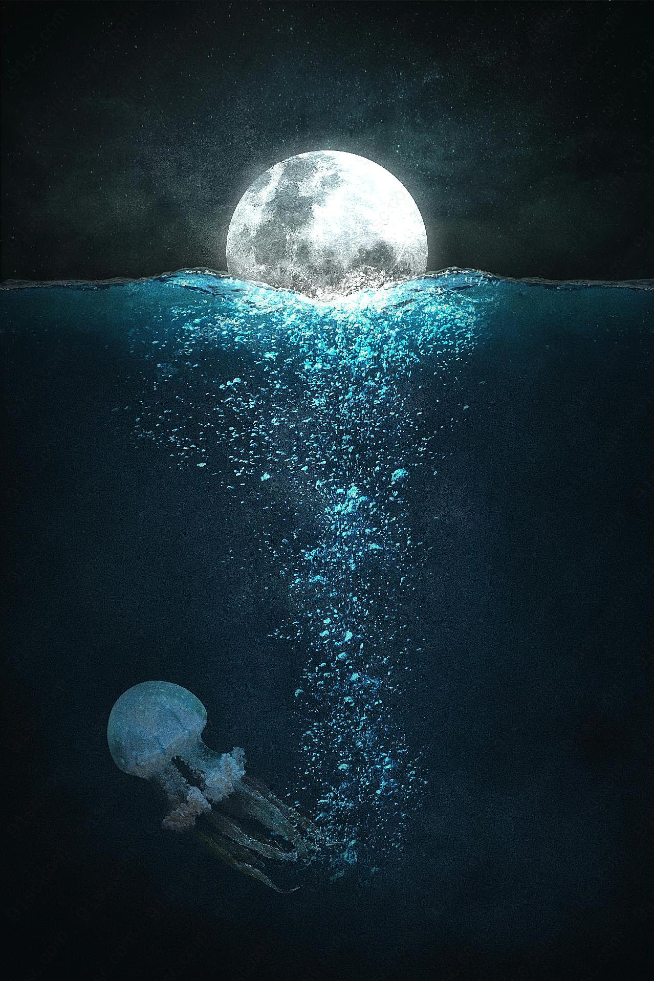 月球海洋水母图片高清摄影