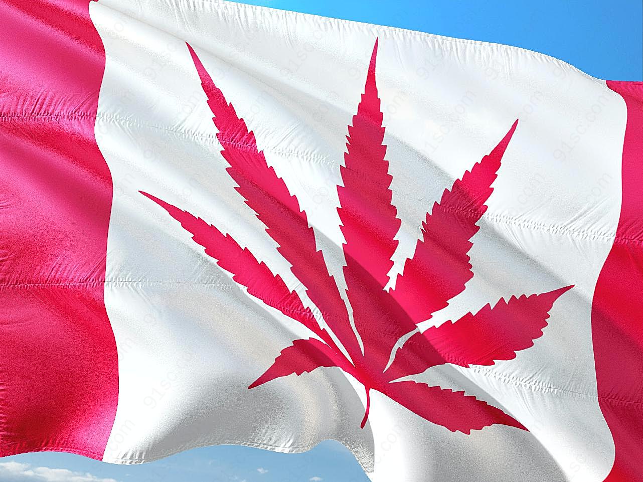 加拿大旗帜图片摄影高清