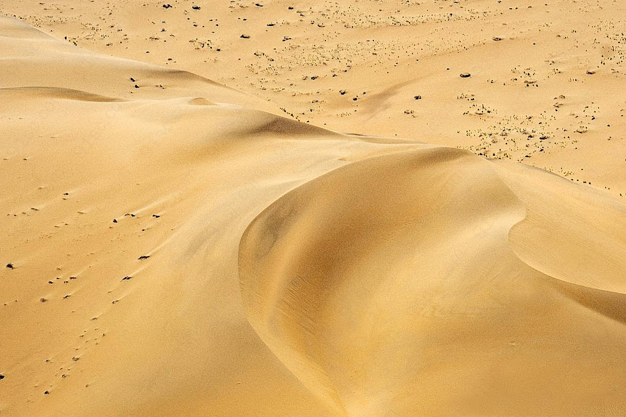 荒地素材图片沙漠