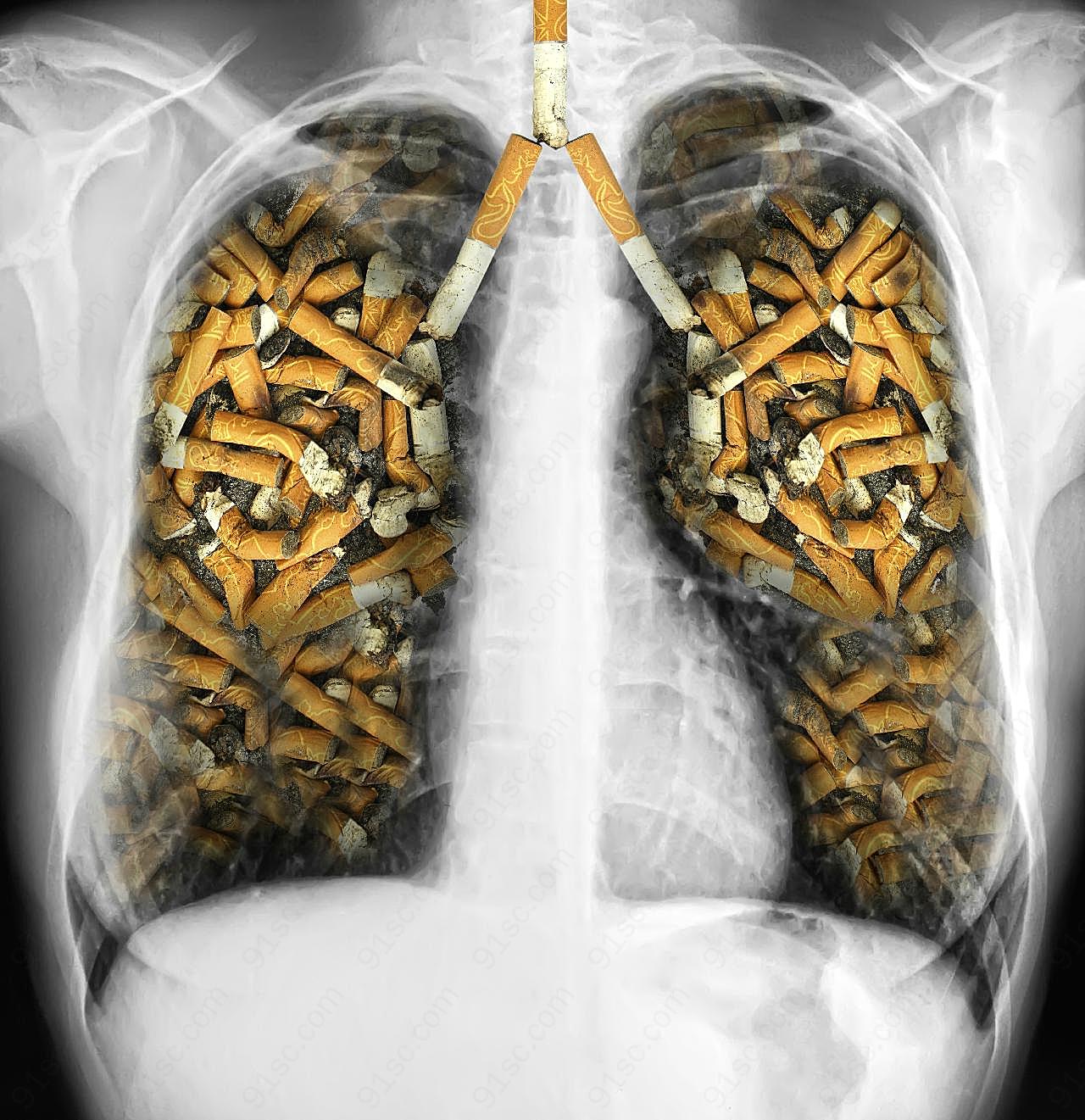 吸烟者的肺图片创意设计图片