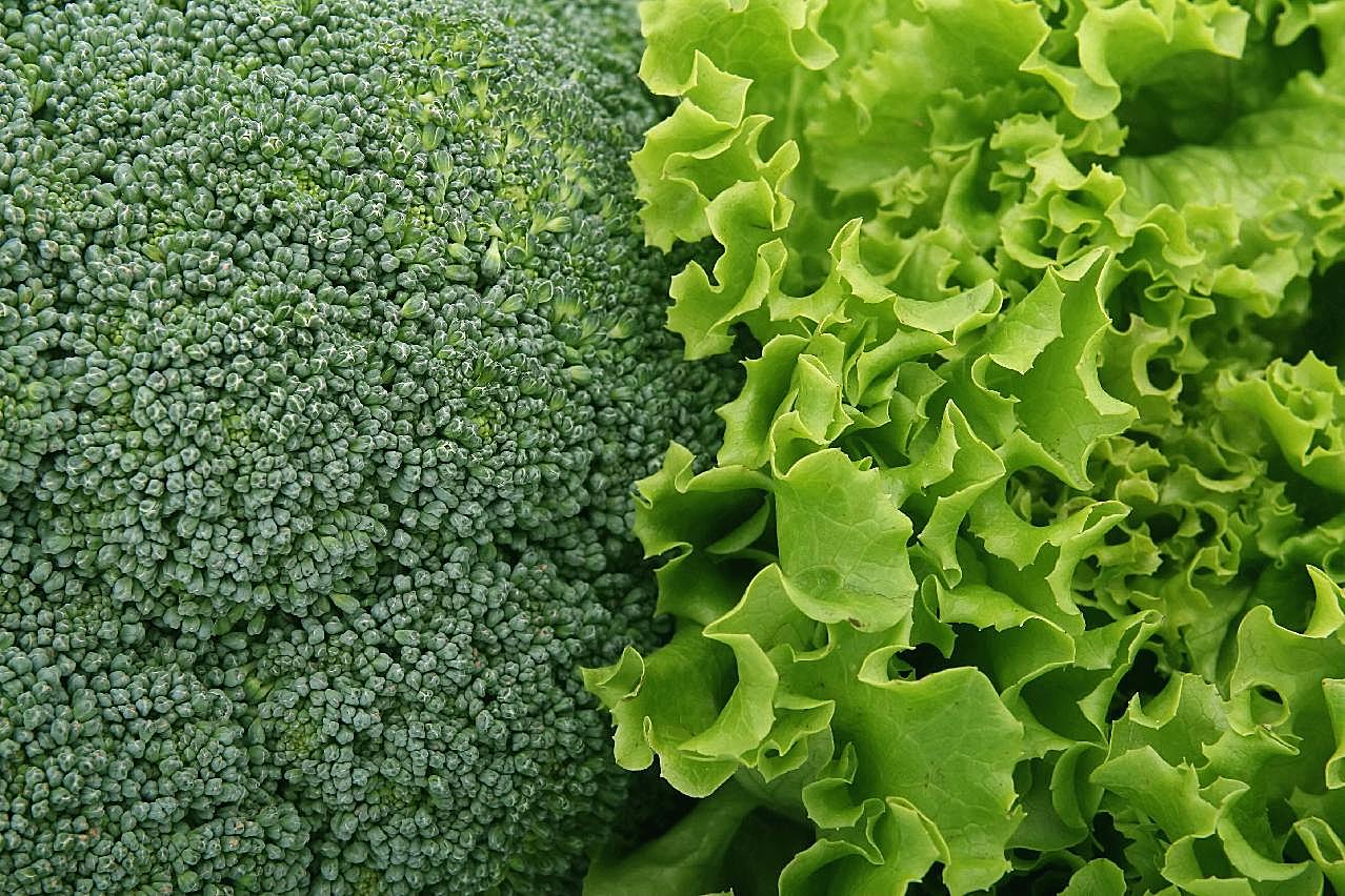 西兰花青菜图片蔬菜
