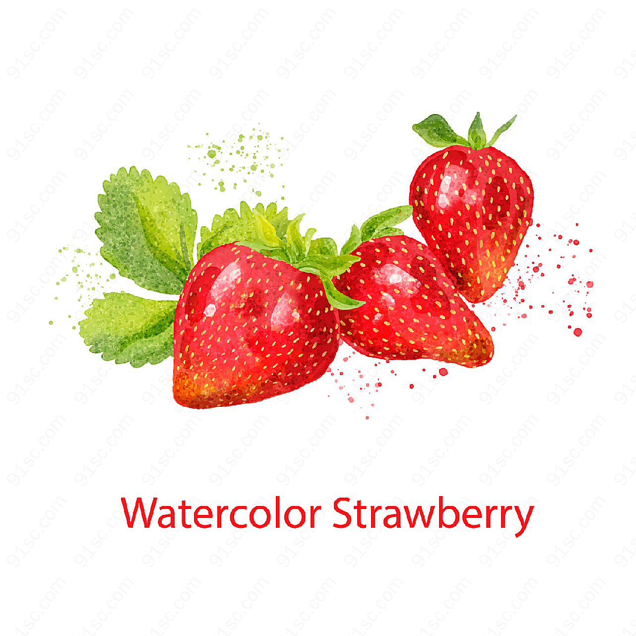水彩绘美味草莓矢量水果