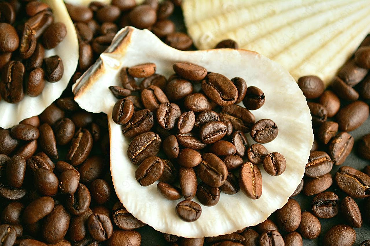 新鲜咖啡豆植物图片餐饮