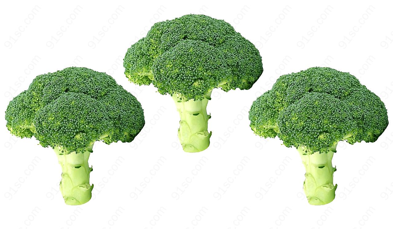 西兰花图片蔬菜