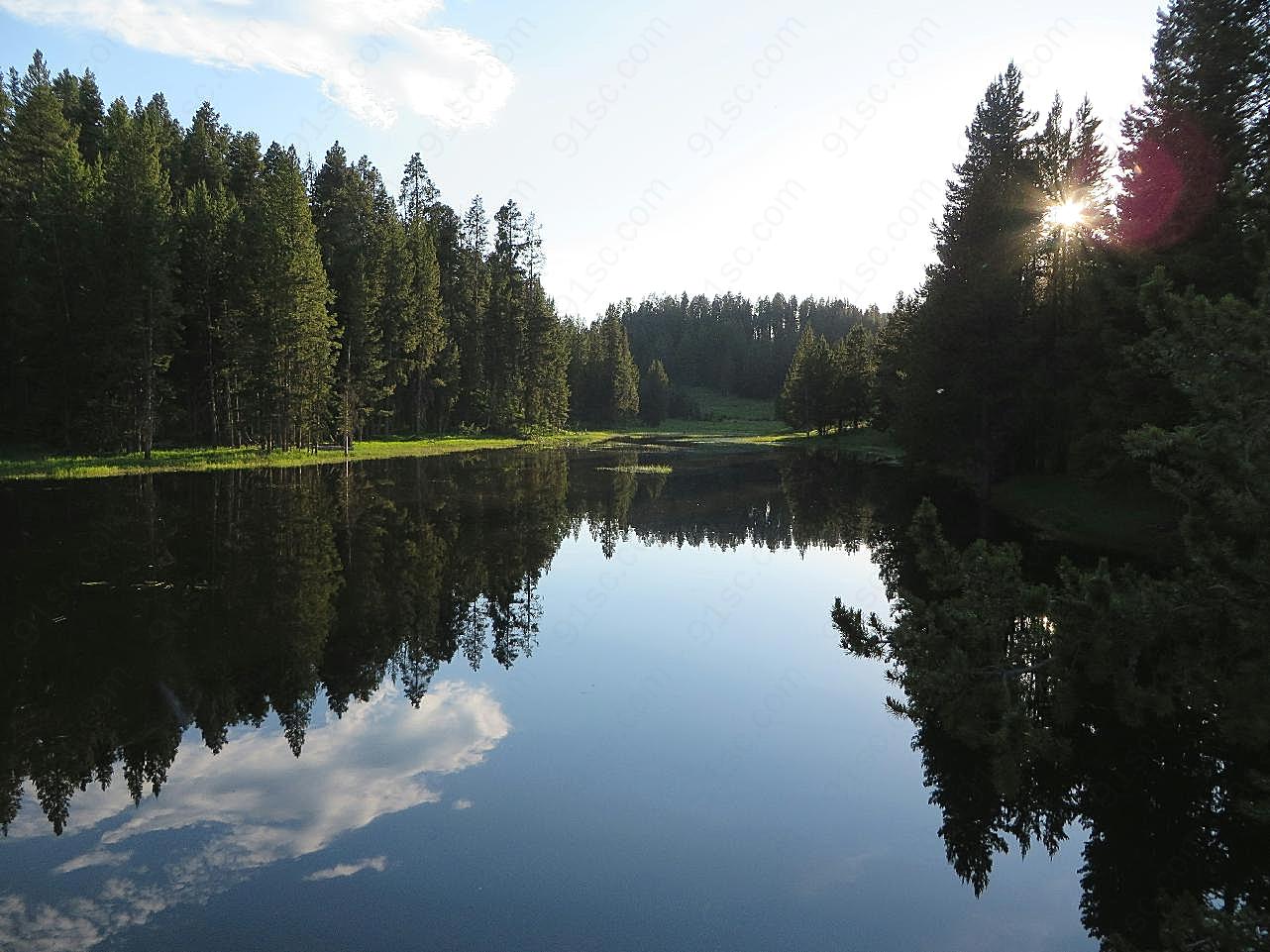 树木湖泊湖水景观图片自然
