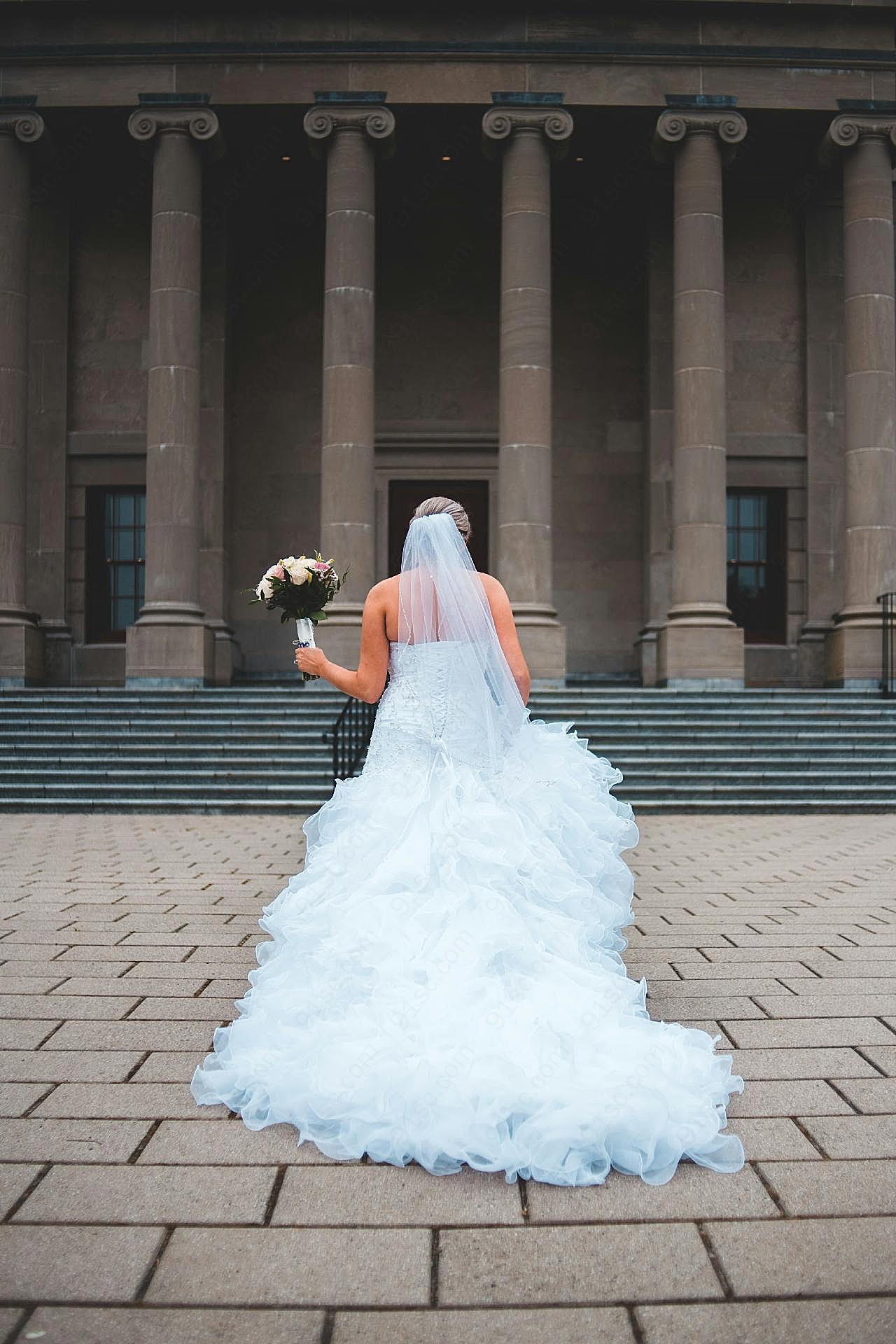 新娘婚纱户外背影图片摄影
