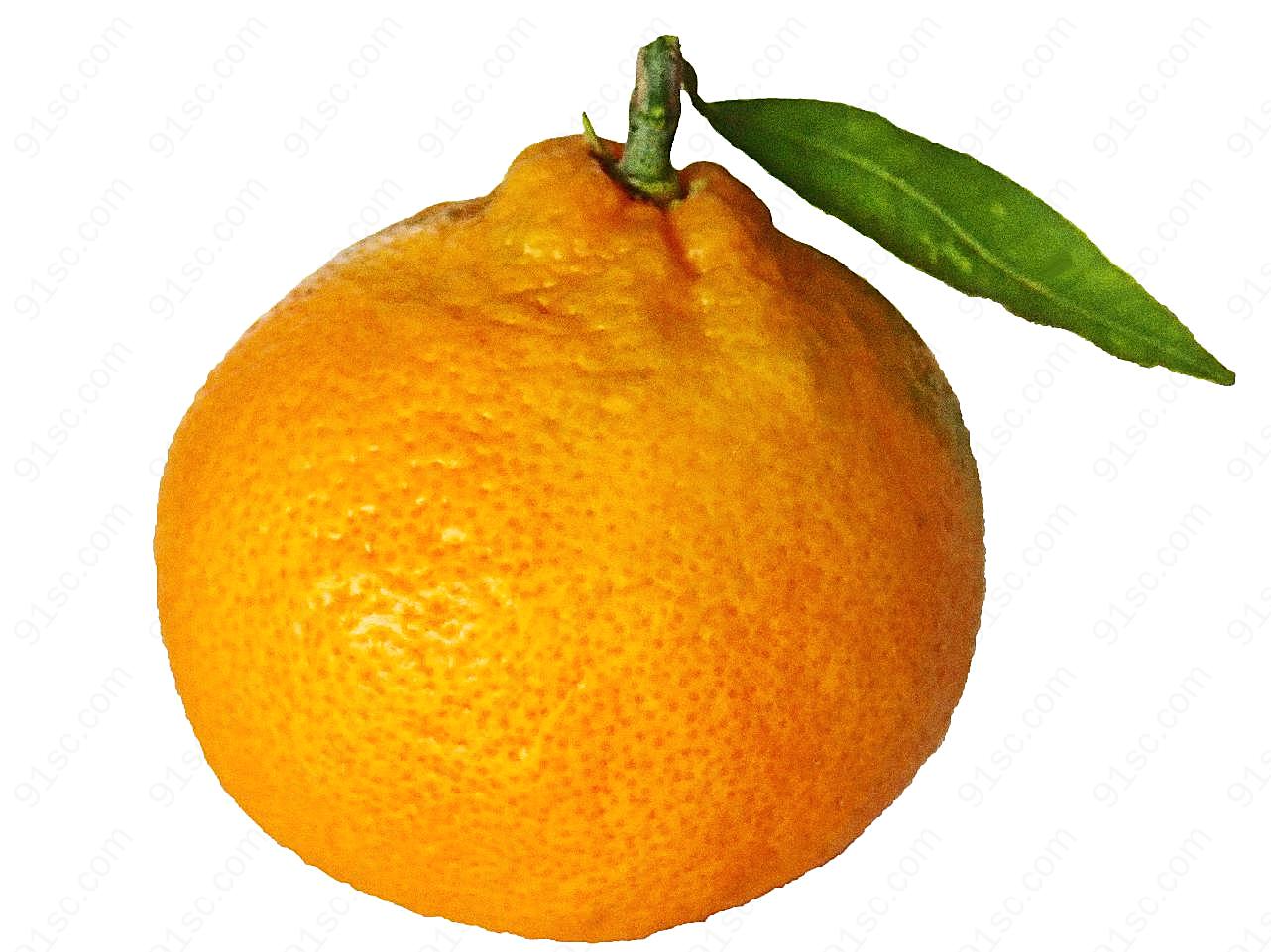 大个柑橘图片水果