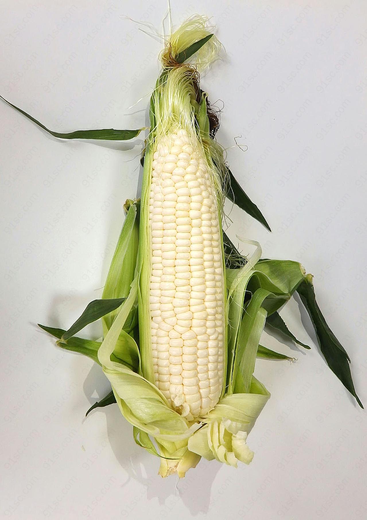 玉米图片五谷杂粮