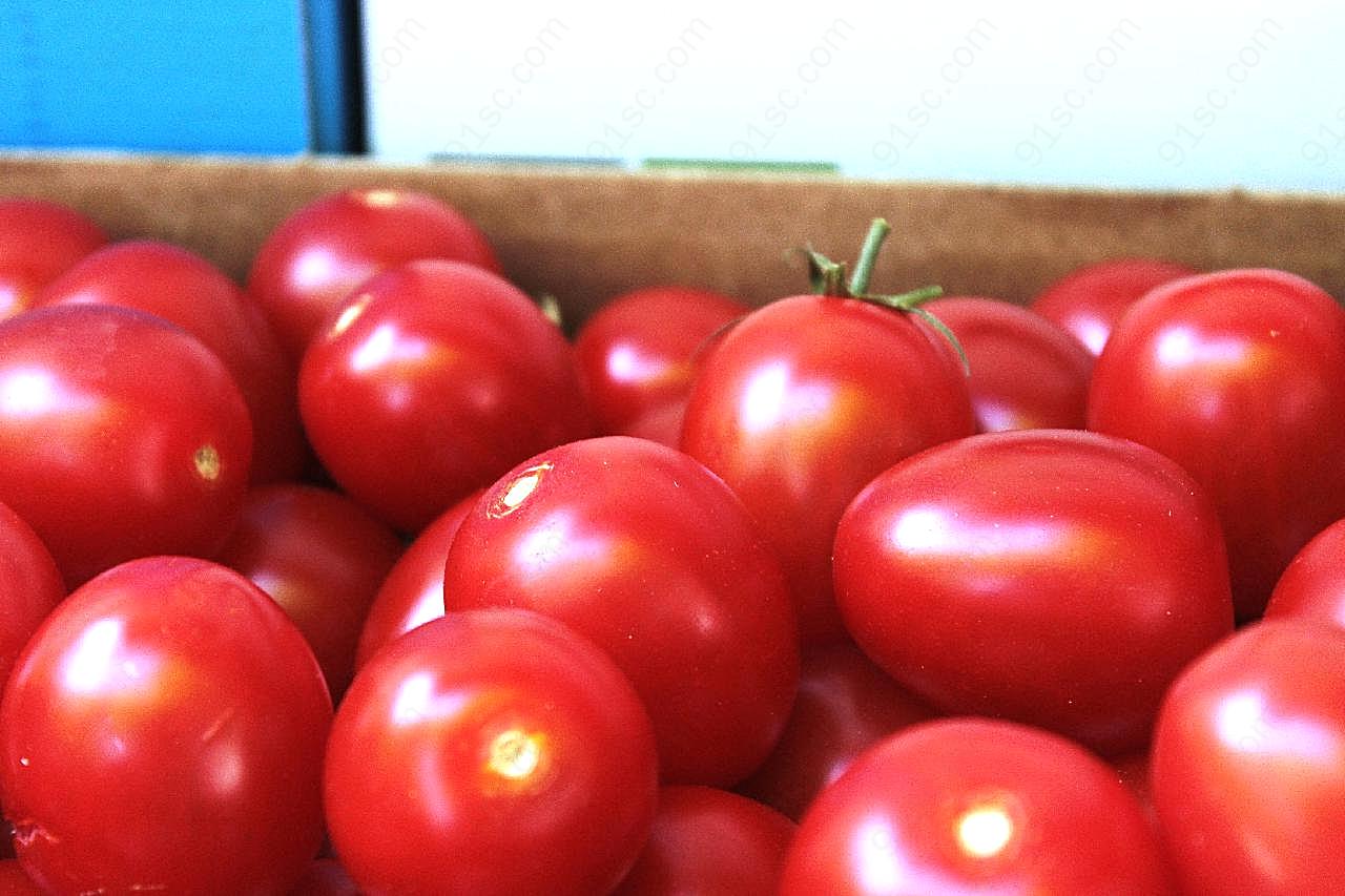 小番茄丰收图片水果