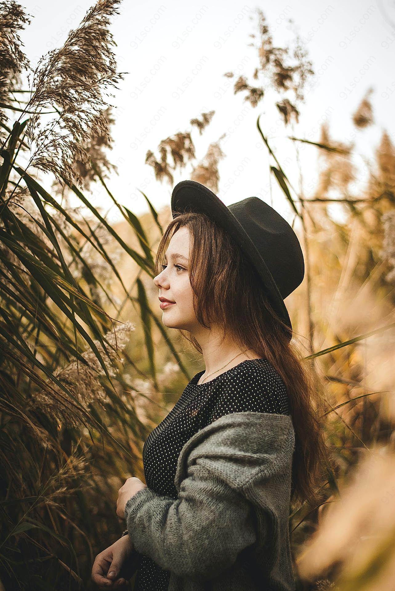 芦苇荡图片美女写真