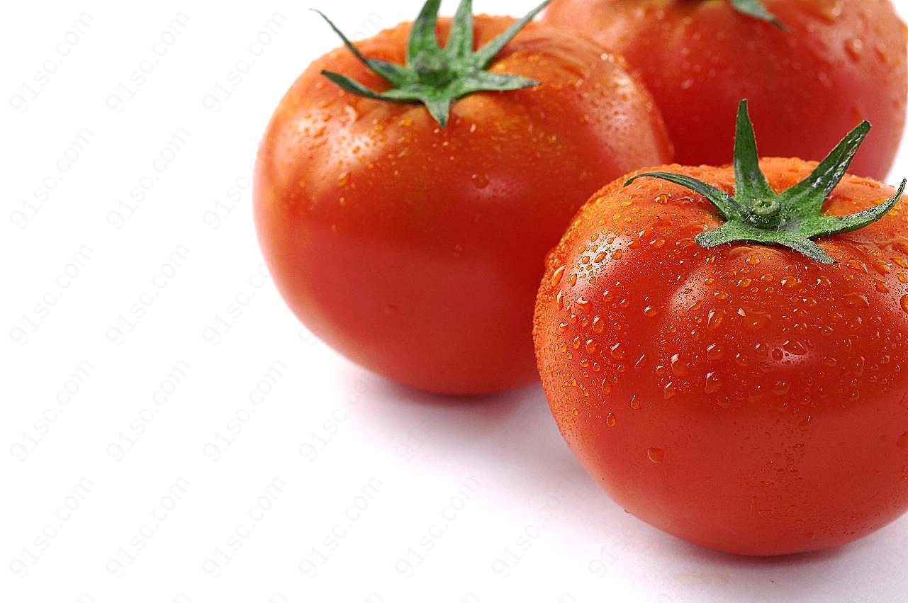湿漉漉的番茄图片蔬菜