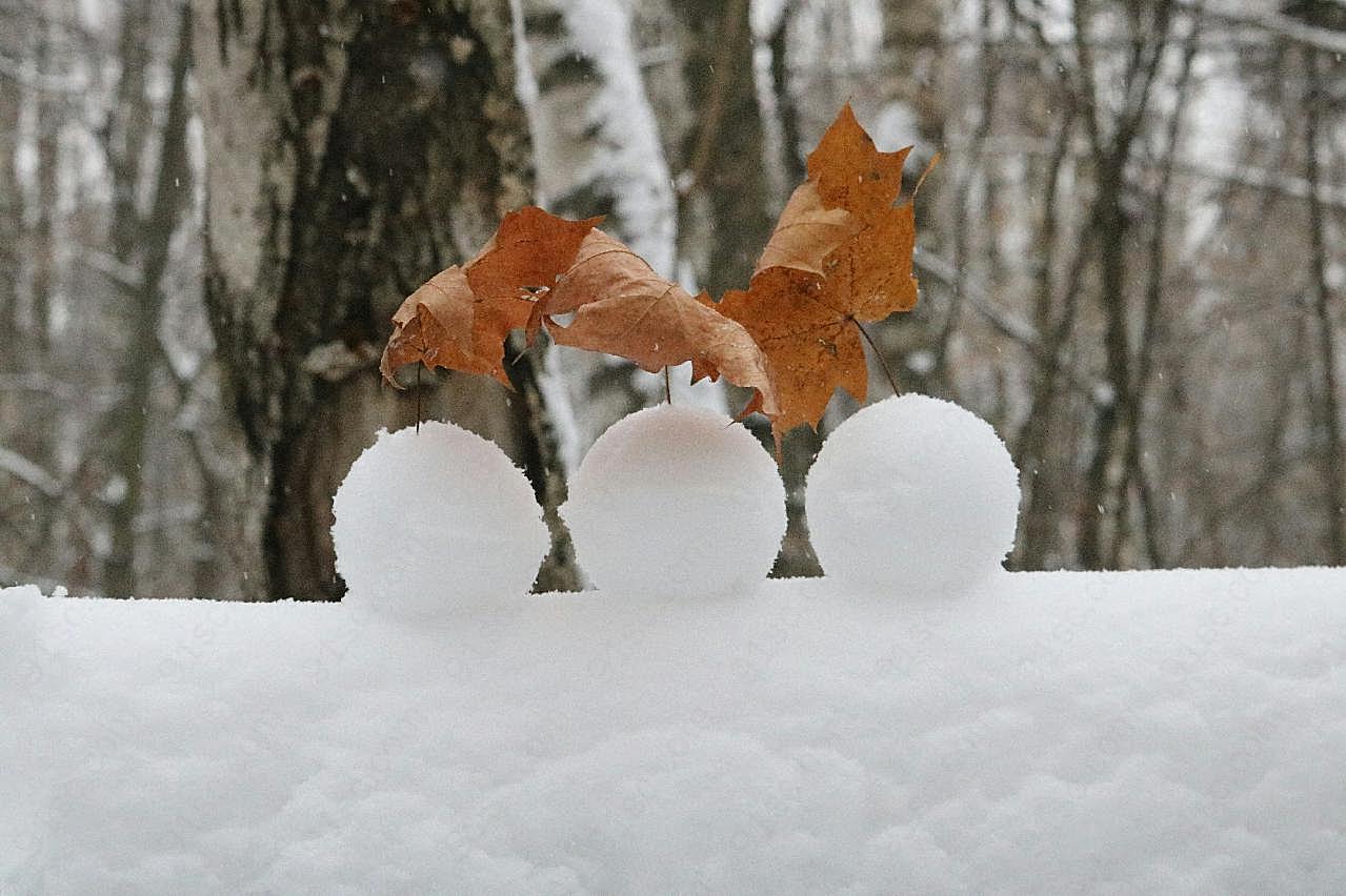 冬季地面积雪风景图片雪景